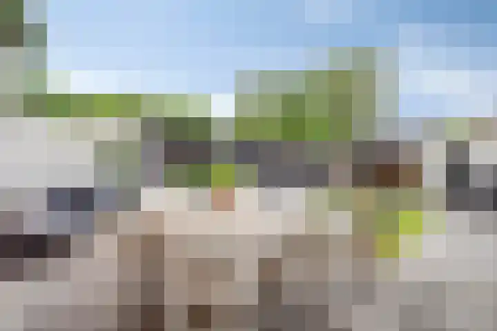 Oude Vaart 12 Terneuzen thumbnail 4