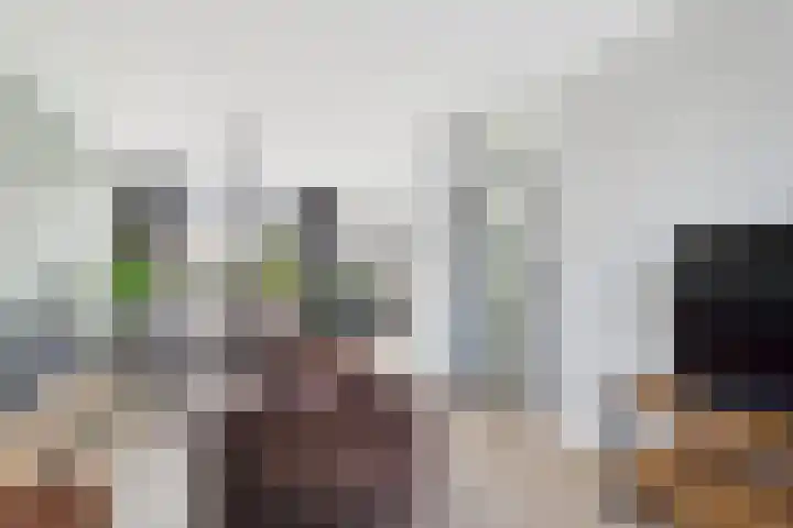Oude Vaart 20 Terneuzen thumbnail 11