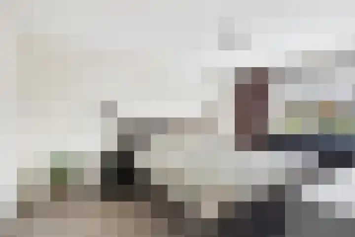 Oude Vaart 20 Terneuzen thumbnail 19