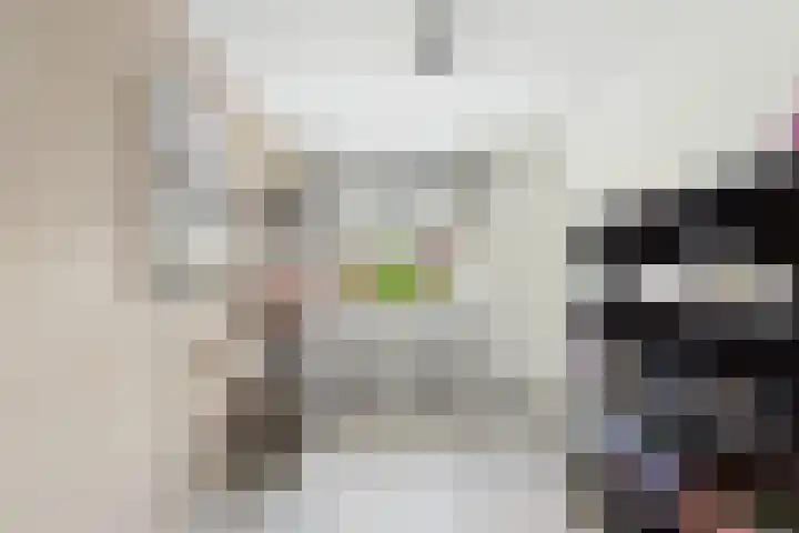 Oude Vaart 20 Terneuzen thumbnail 24