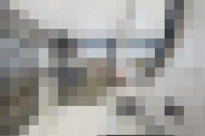 Oude Vaart 20 Terneuzen thumbnail 26