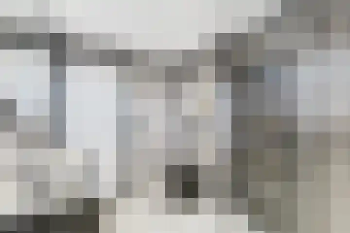 Oude Vaart 20 Terneuzen thumbnail 29