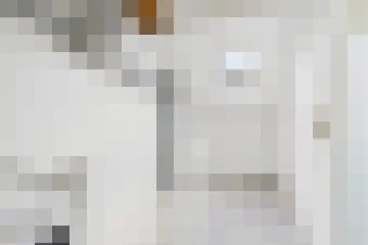 Oude Vaart 20 Terneuzen thumbnail 31