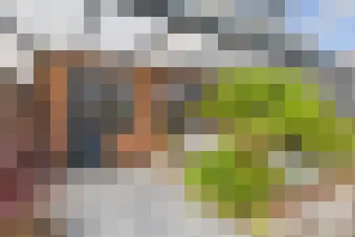 Oude Vaart 20 Terneuzen thumbnail 36