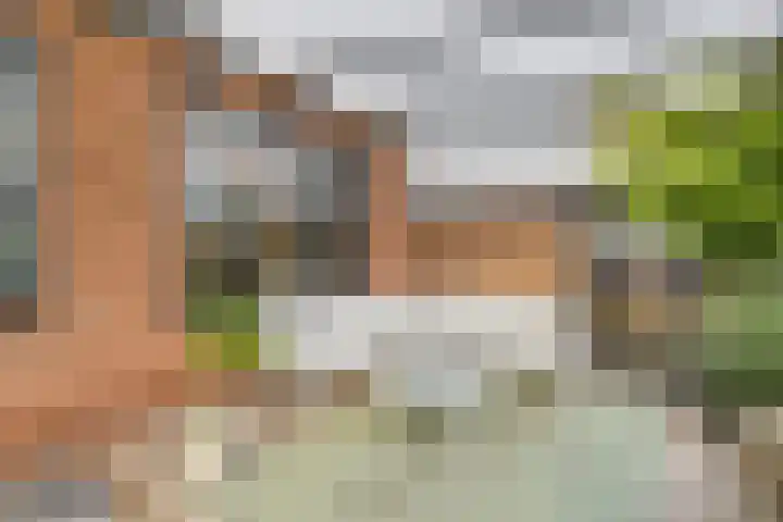 Oude Vaart 20 Terneuzen thumbnail 37