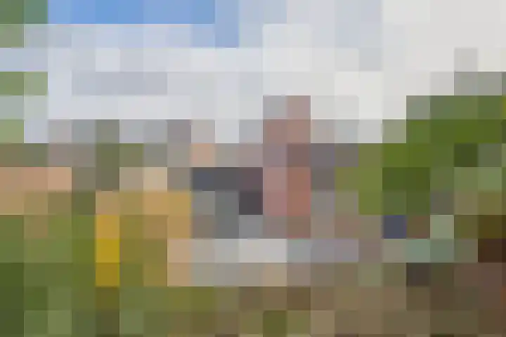 Oude Vaart 20 Terneuzen thumbnail 38