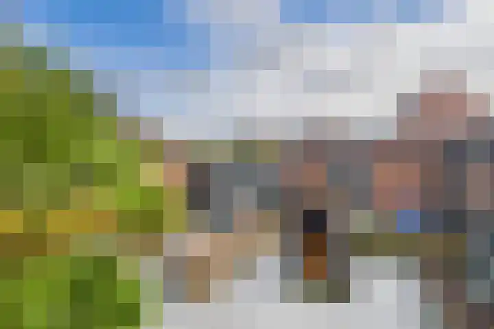 Oude Vaart 20 Terneuzen thumbnail 39
