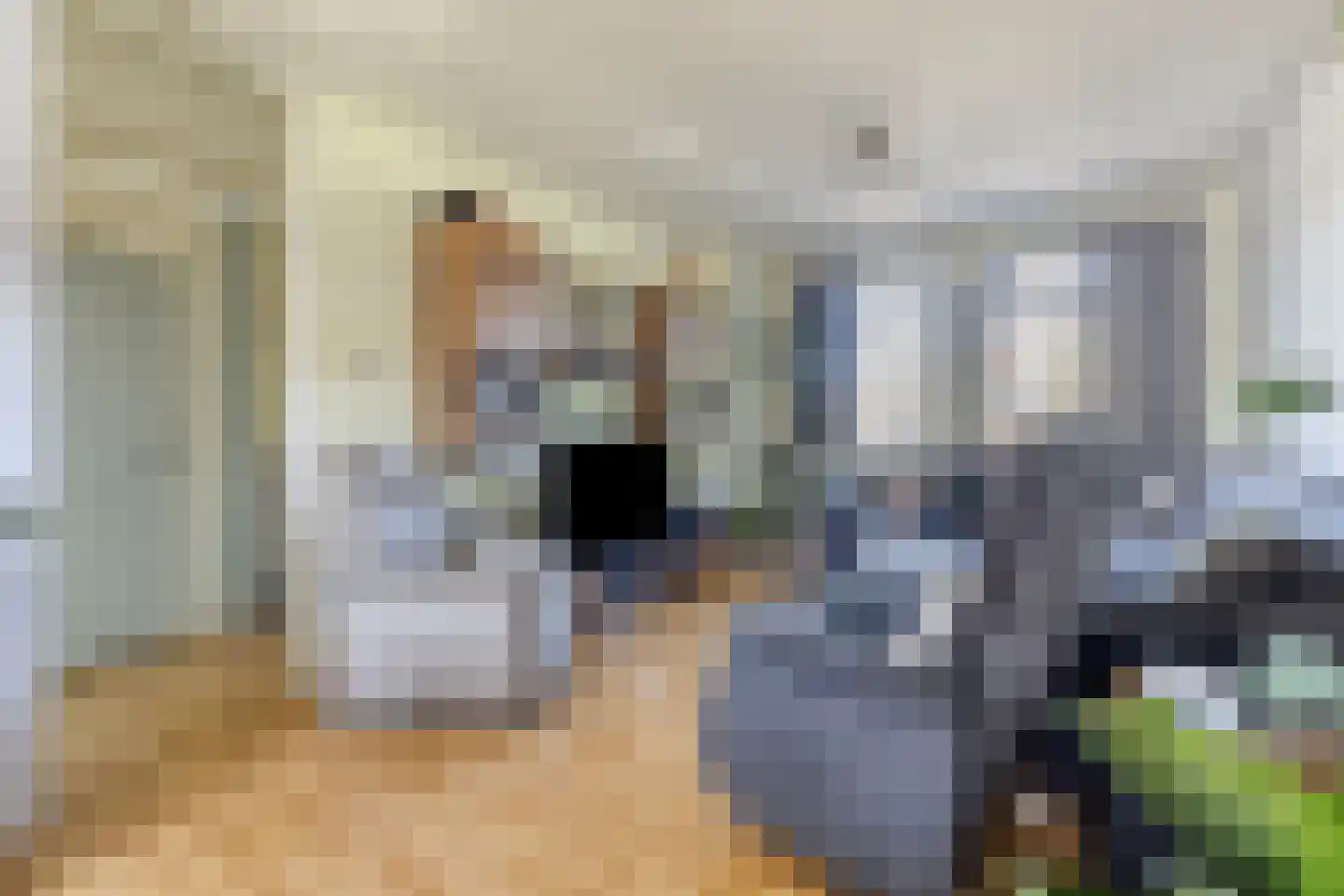 Oude Vaart 22 Terneuzen thumbnail 4
