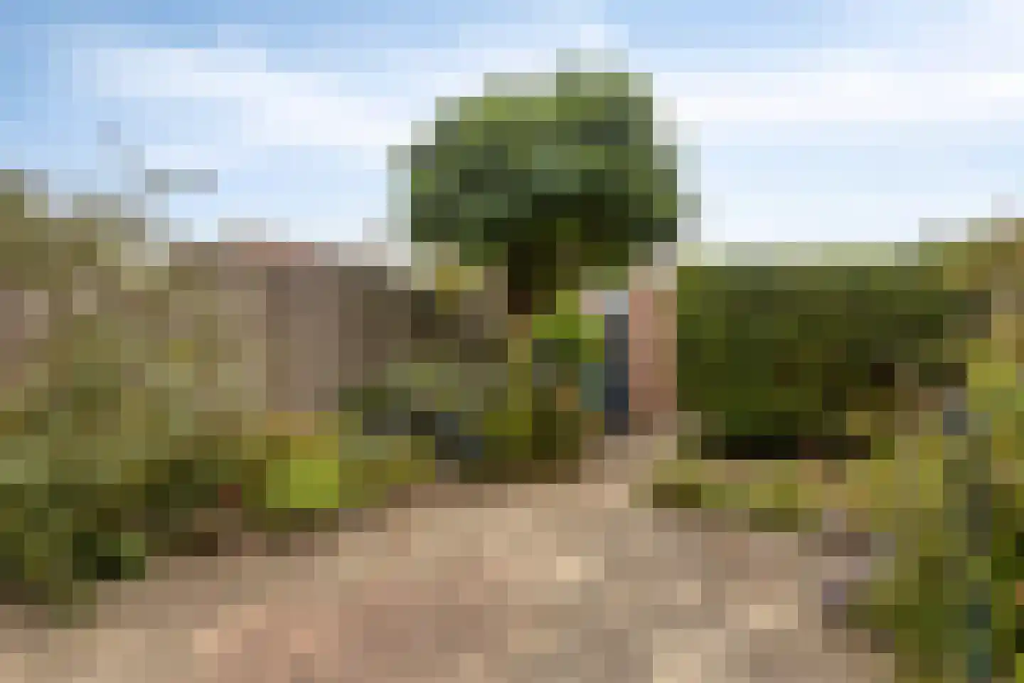 Oude Vaart 32 Terneuzen thumbnail 30
