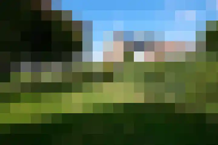 Oude Vaart 48 Terneuzen thumbnail 16
