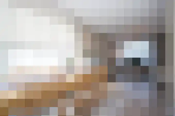 Oude Vaart 48 Terneuzen thumbnail 8