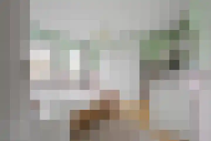 Oude Vaart 57 Terneuzen thumbnail 18