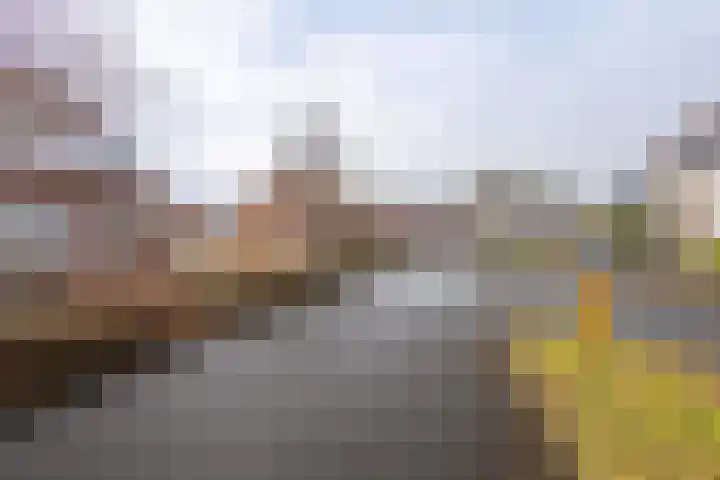 Oude Vaart 57 Terneuzen thumbnail 30