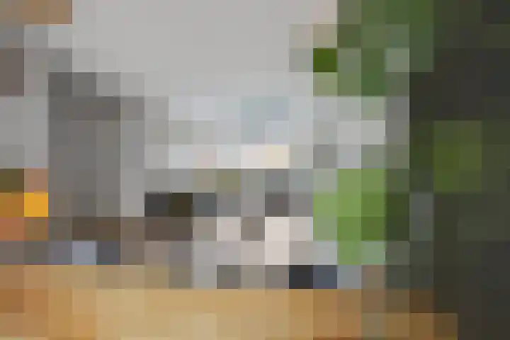 Oude Vaart 57 Terneuzen thumbnail 6