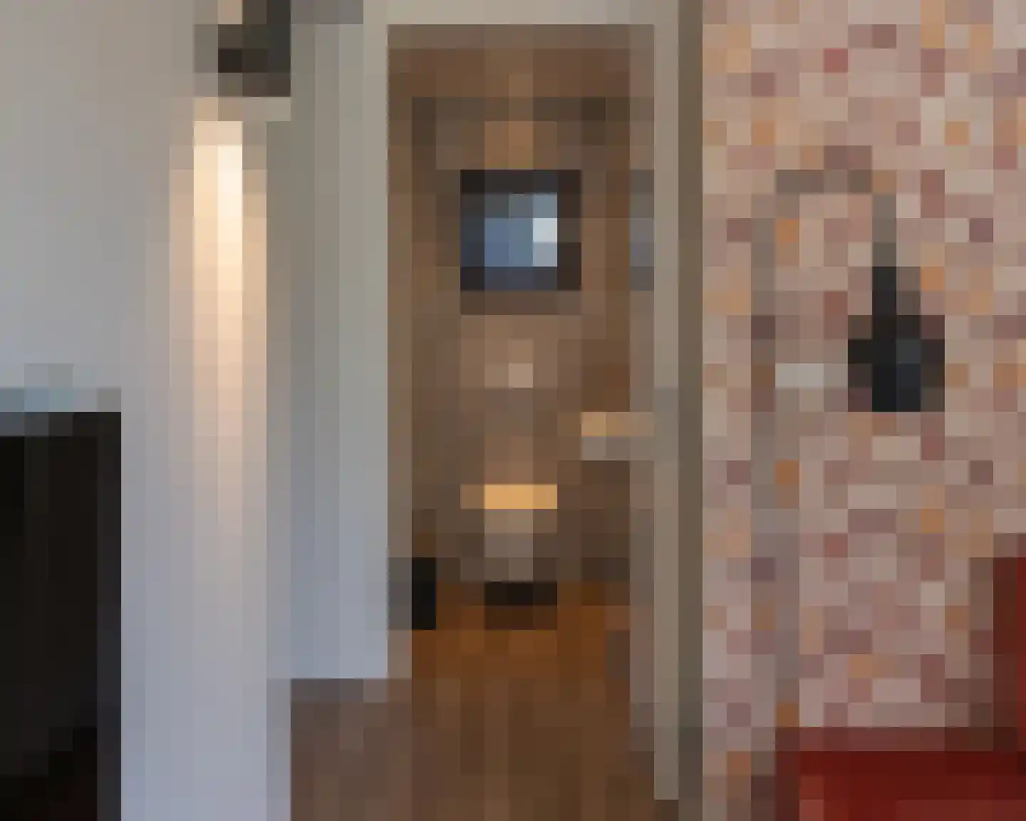 Oude Veensegrindweg 76 11 Rhenen thumbnail 11