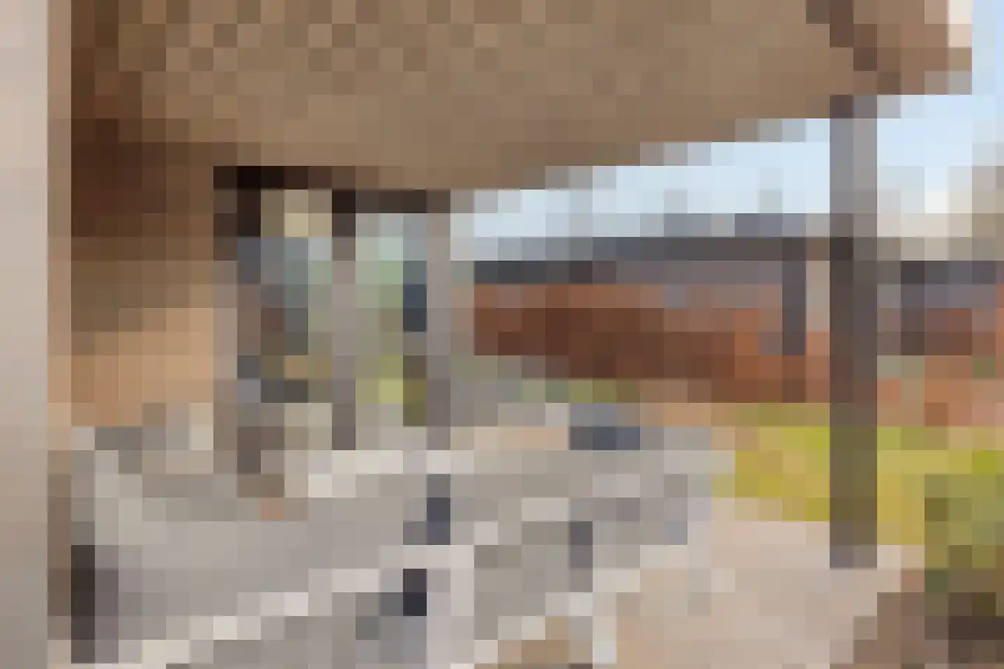 Oude Veensegrindweg 76 16 Rhenen thumbnail 29