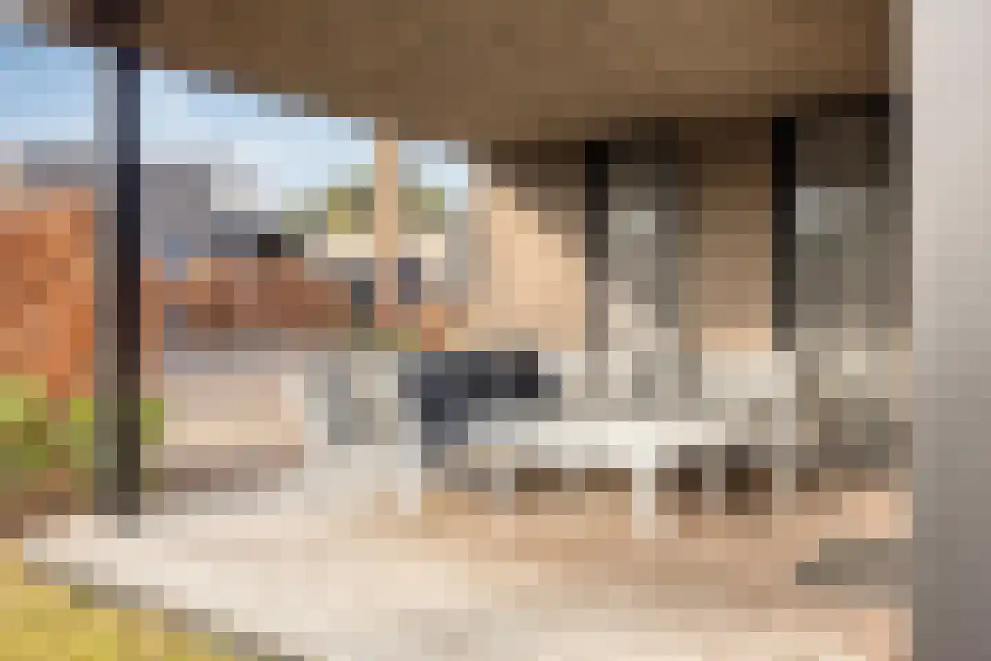 Oude Veensegrindweg 76 16 Rhenen thumbnail 31