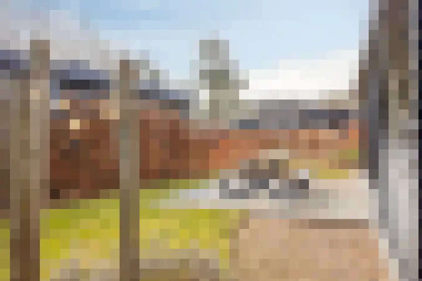 Oude Veensegrindweg 76 16 Rhenen thumbnail 33