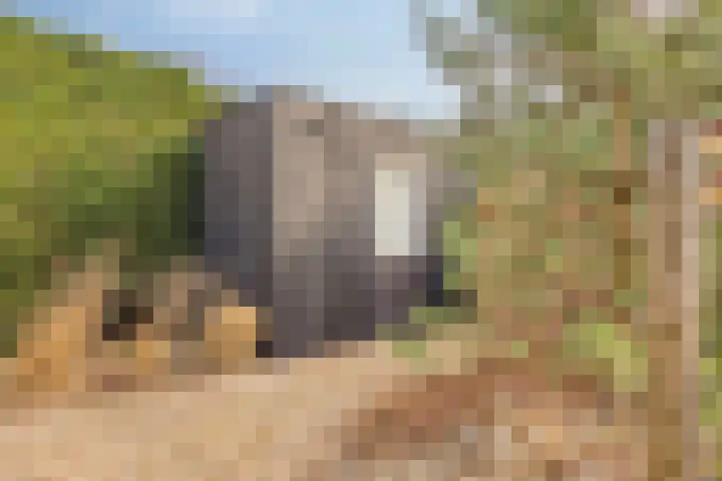 Oude Veensegrindweg 76 16 Rhenen thumbnail 34
