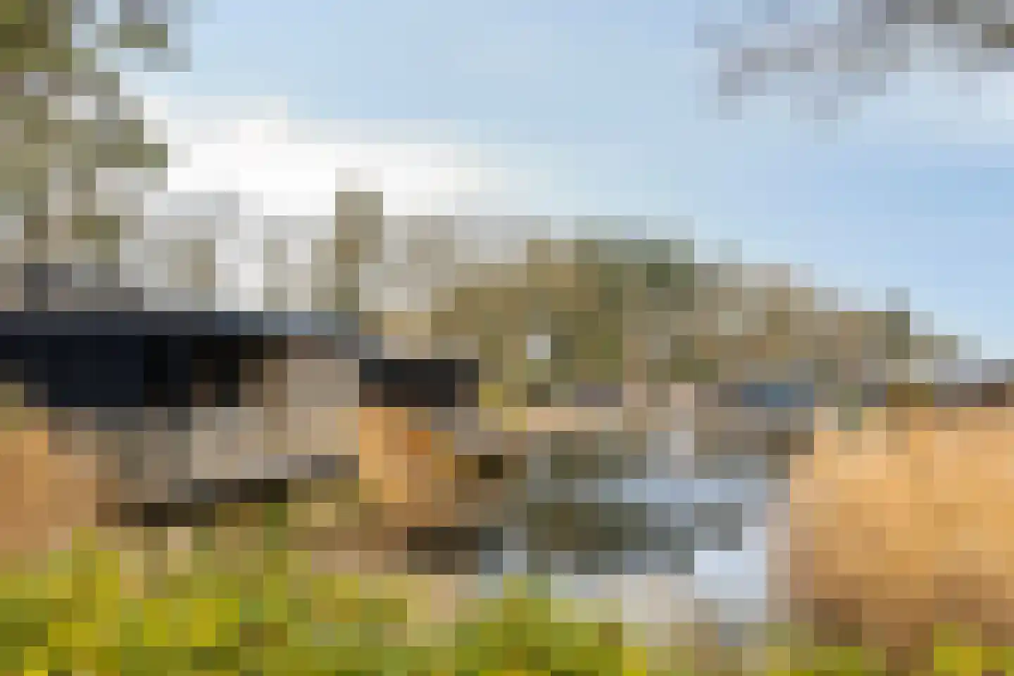 Oude Veensegrindweg 76 16 Rhenen thumbnail 37