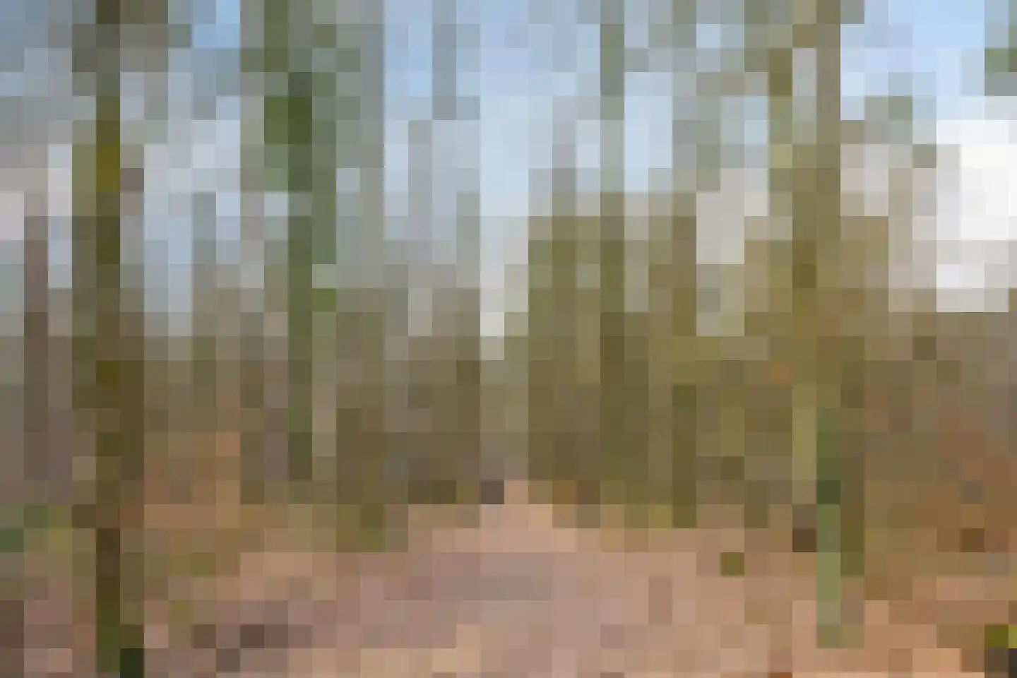 Oude Veensegrindweg 76 16 Rhenen thumbnail 38