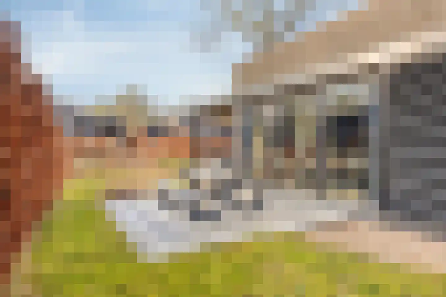 Oude Veensegrindweg 76 16 Rhenen thumbnail 5