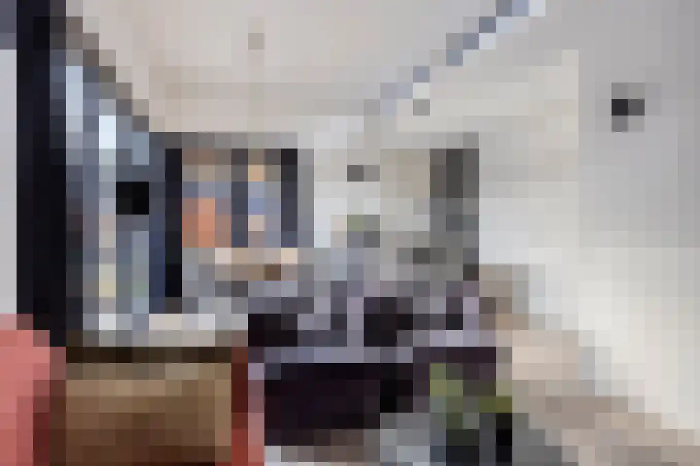 Oude Veensegrindweg 76 16 Rhenen thumbnail 9