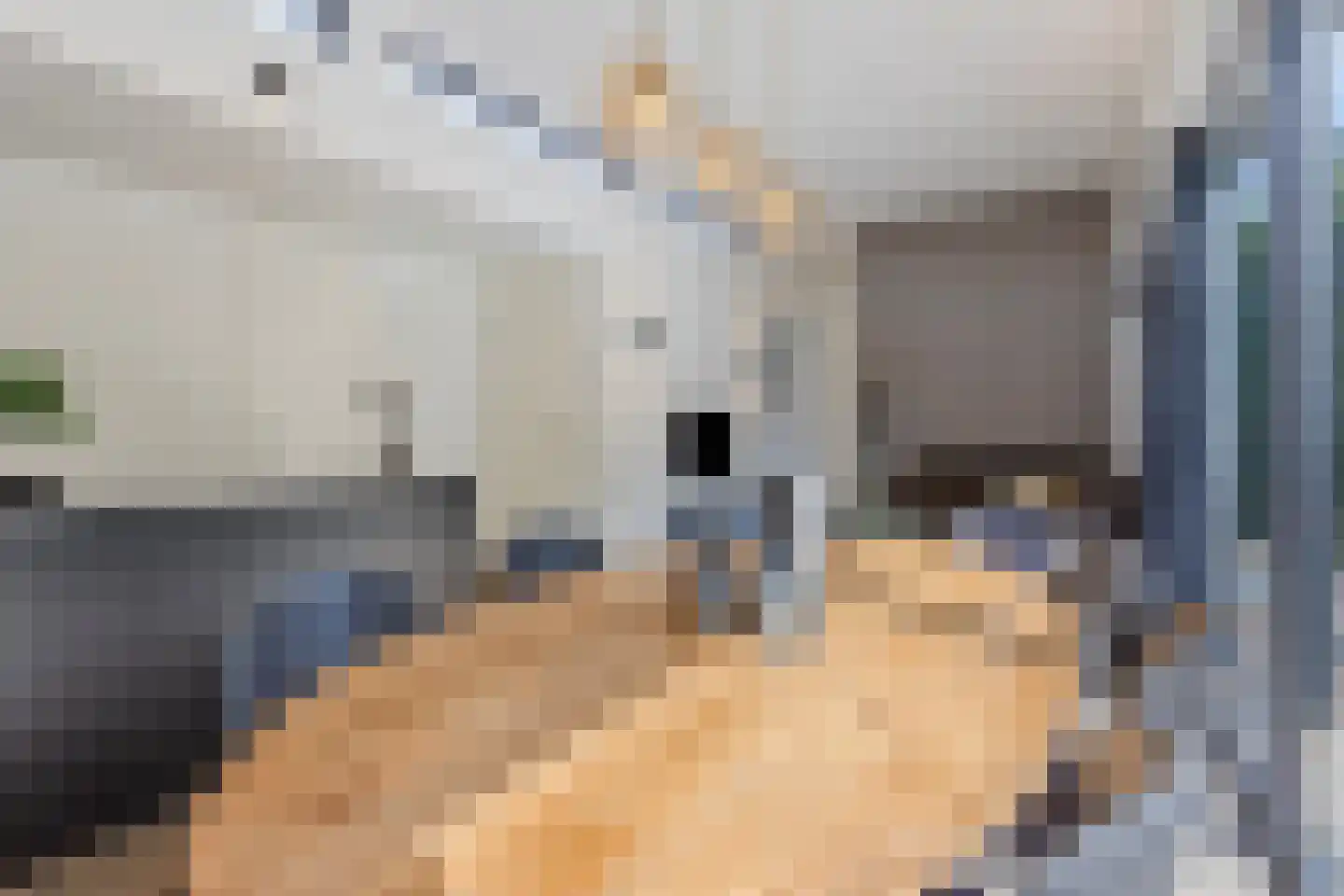 Oude Veensegrindweg 76 18 Rhenen thumbnail 11