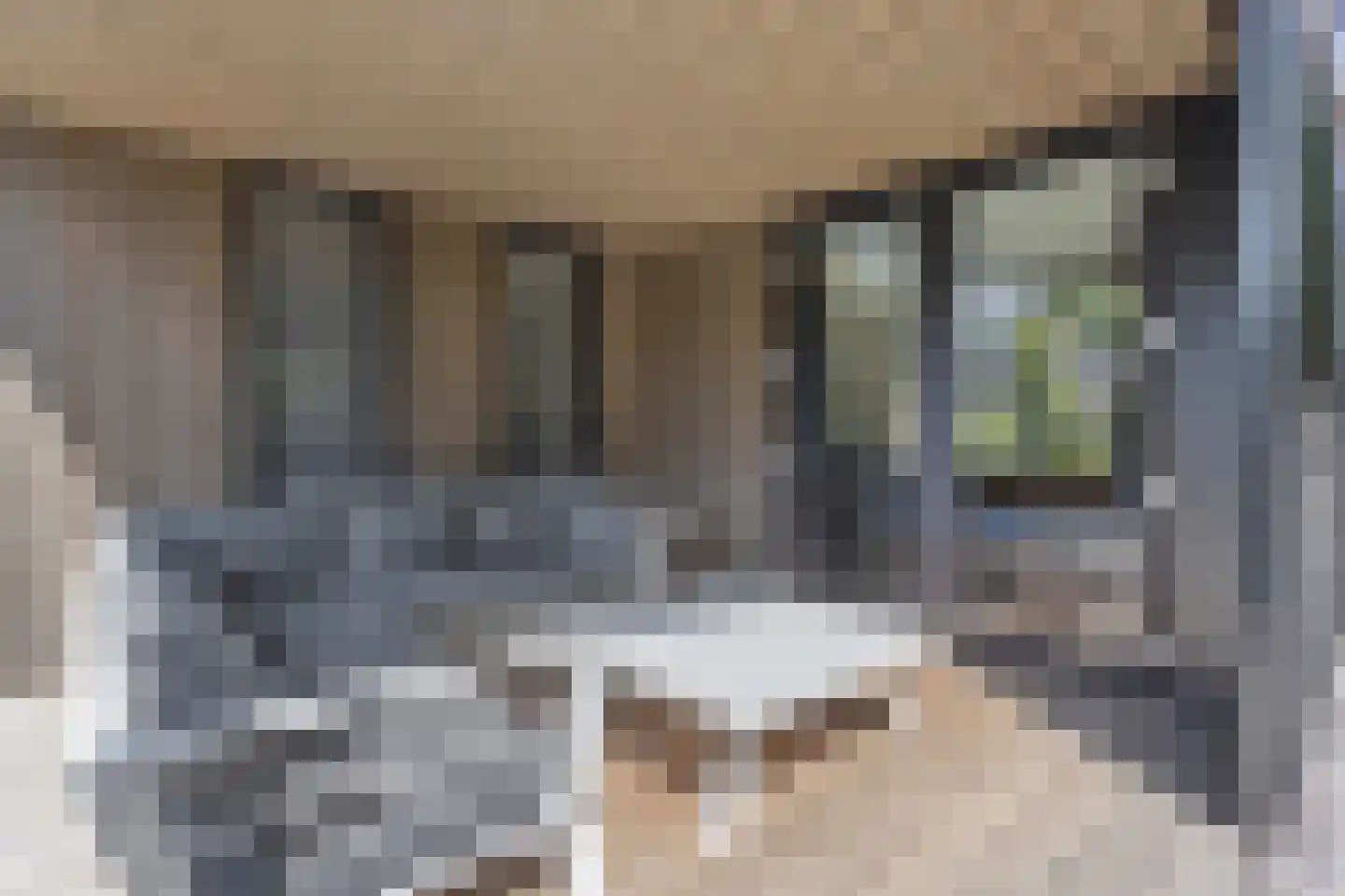 Oude Veensegrindweg 76 18 Rhenen thumbnail 26