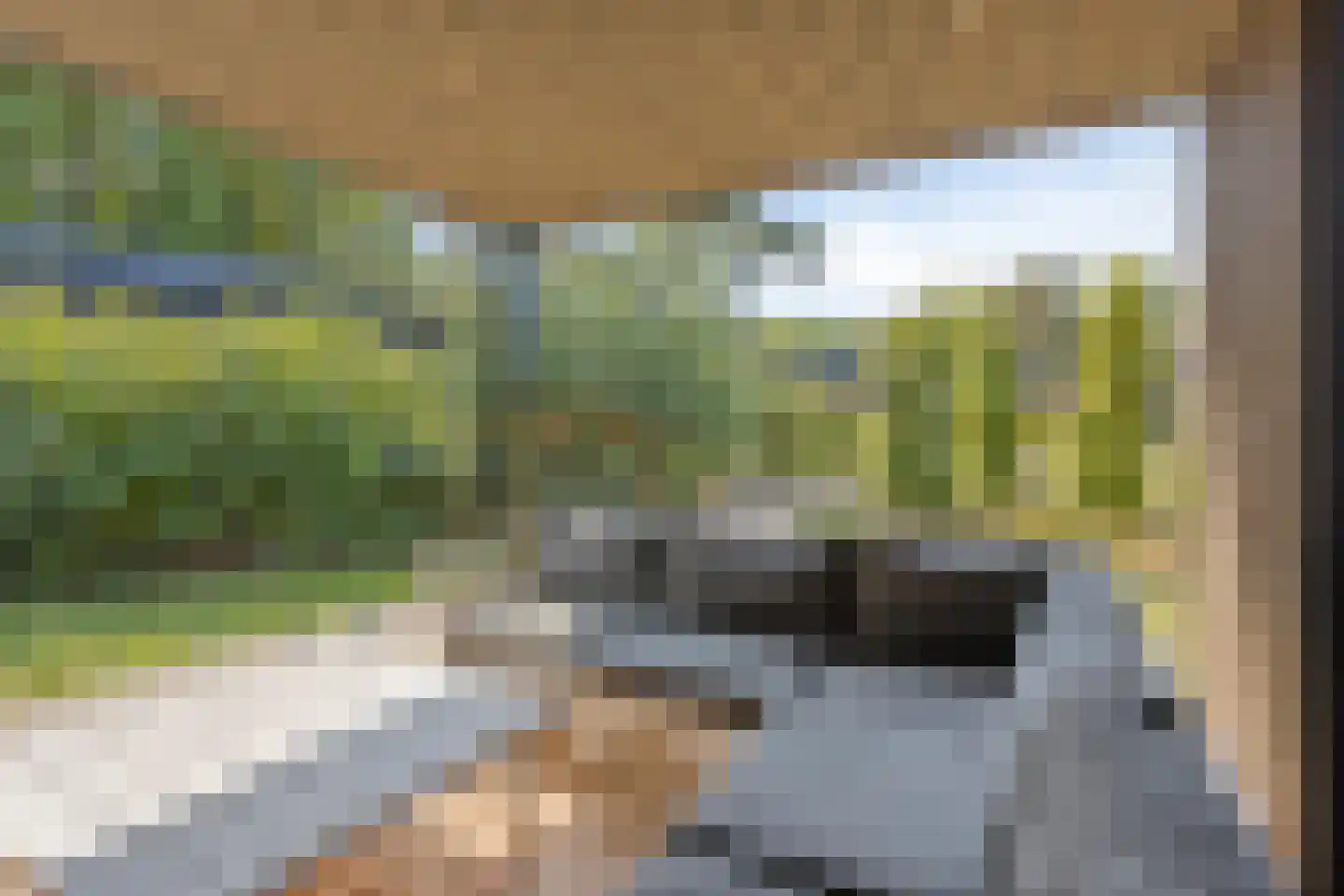 Oude Veensegrindweg 76 18 Rhenen thumbnail 27