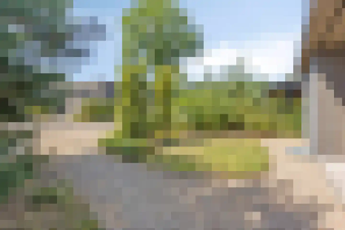 Oude Veensegrindweg 76 18 Rhenen thumbnail 29