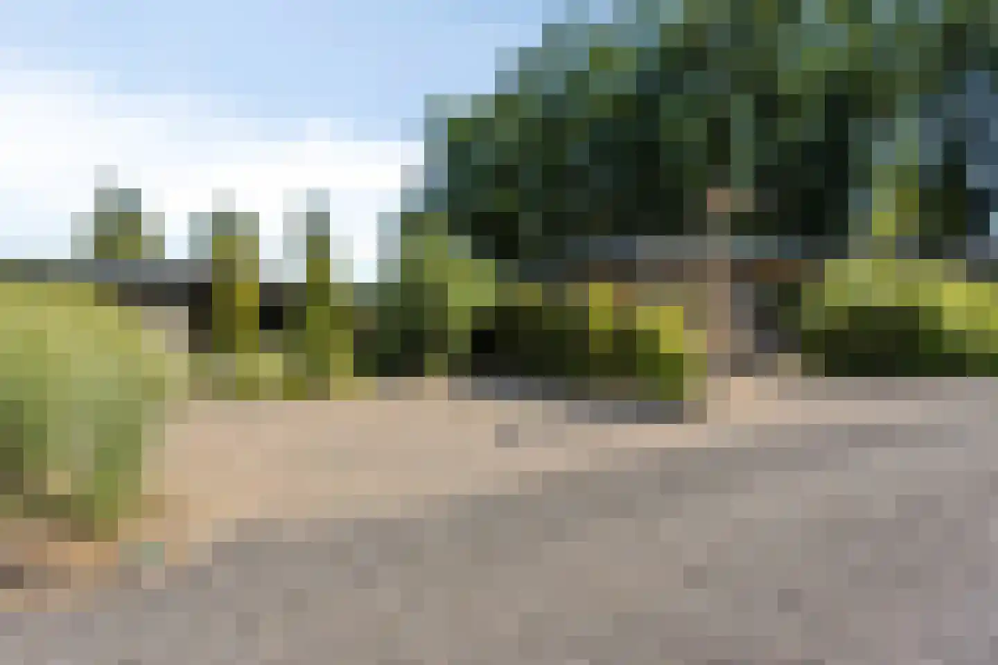 Oude Veensegrindweg 76 18 Rhenen thumbnail 31