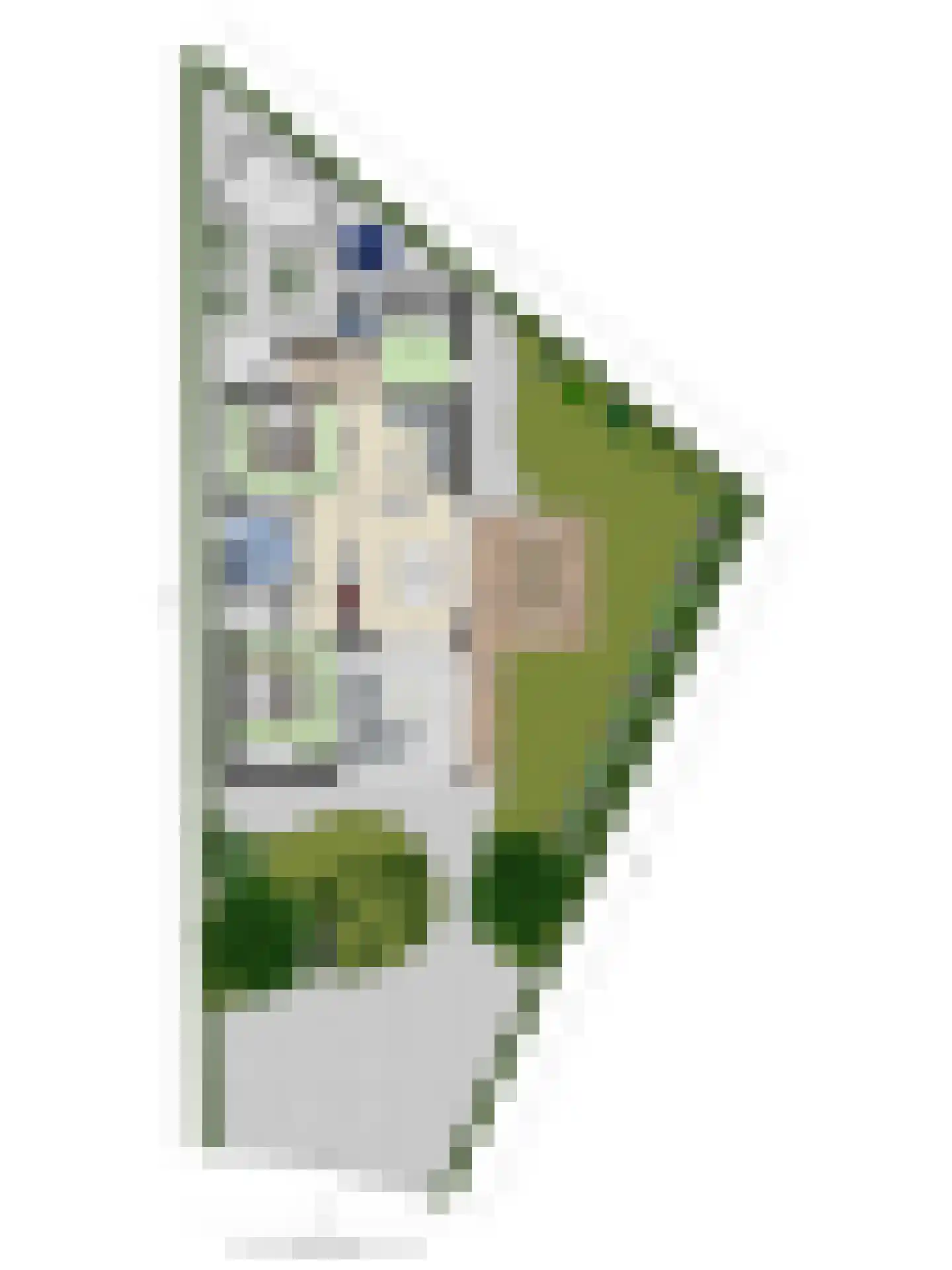 Oude Veensegrindweg 76 18 Rhenen thumbnail 34