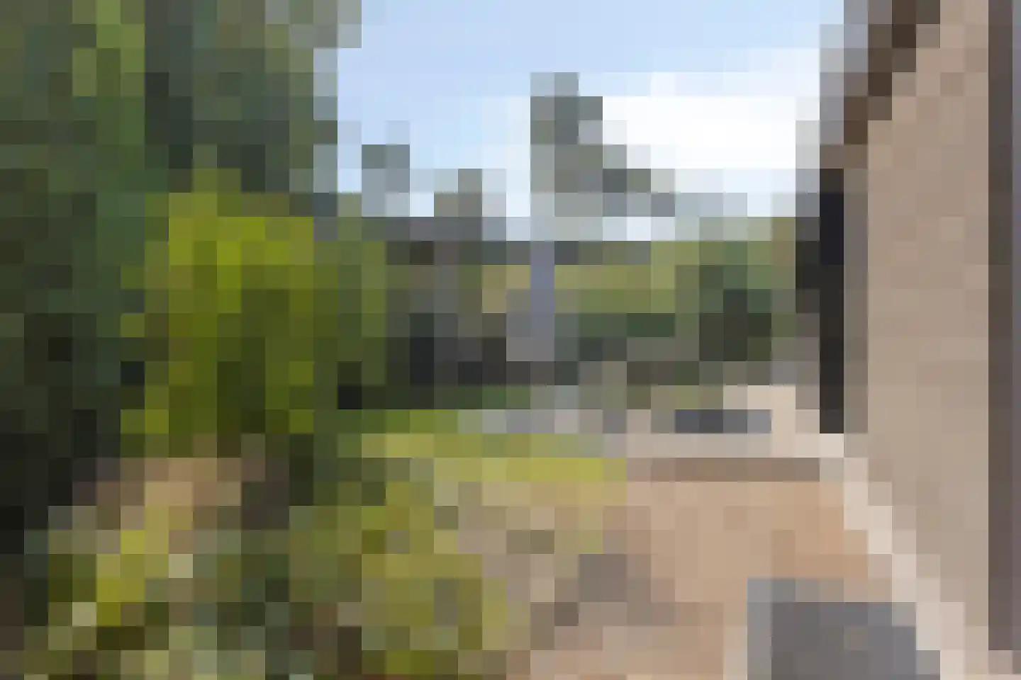 Oude Veensegrindweg 76 18 Rhenen thumbnail 5