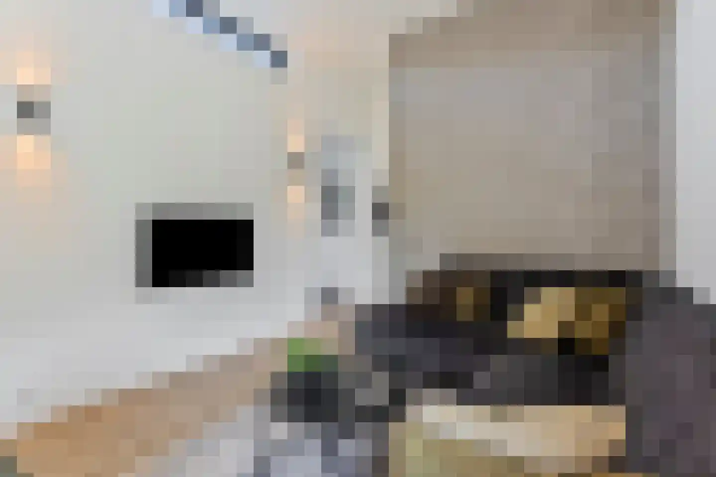 Oude Veensegrindweg 76 18 Rhenen thumbnail 8