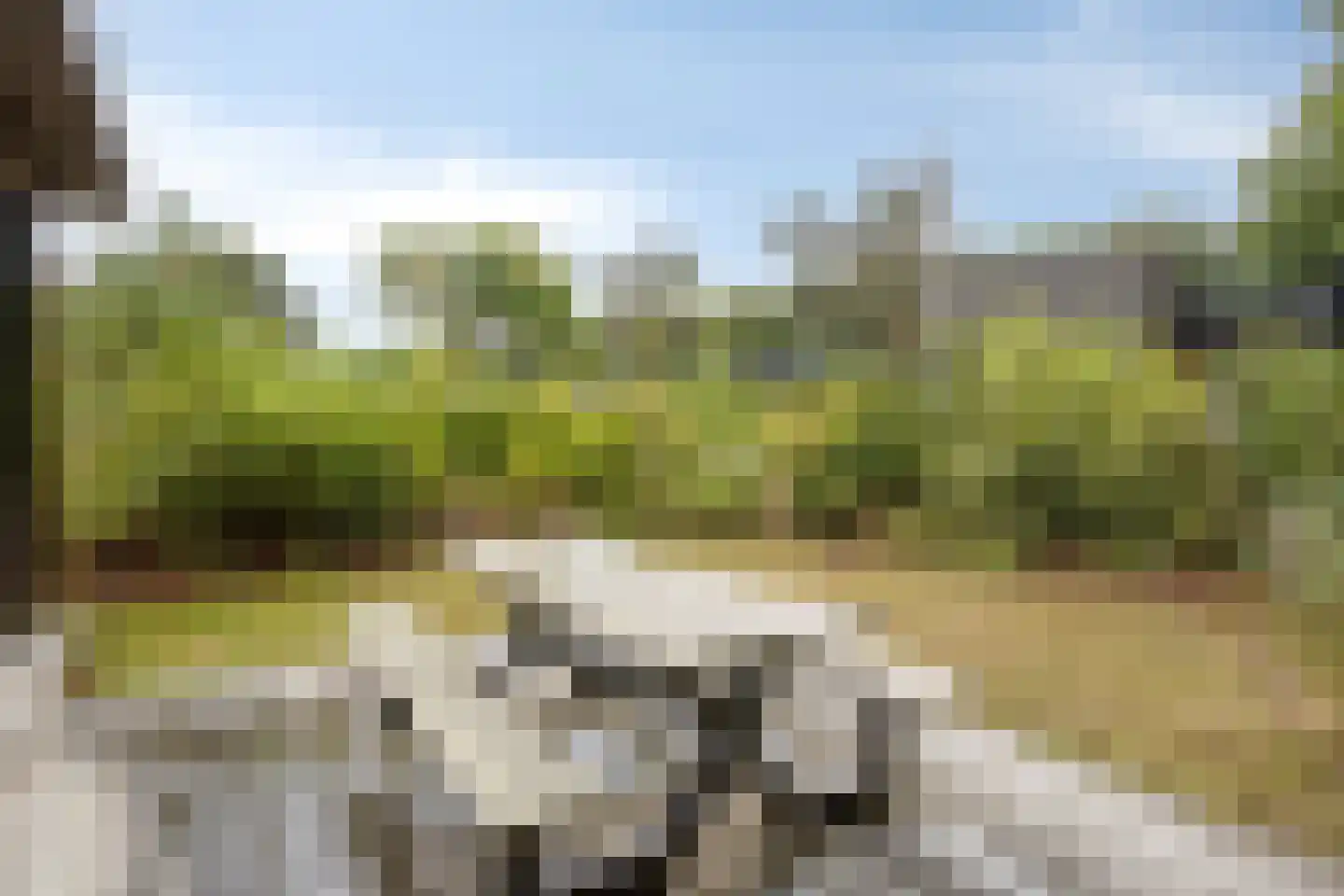 Oude Veensegrindweg 76 8 Rhenen thumbnail 21