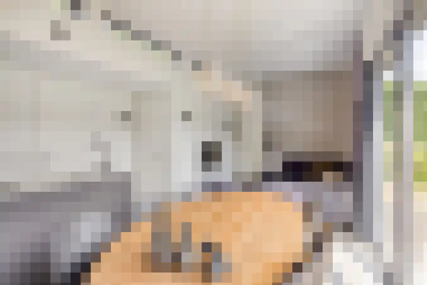 Oude Veensegrindweg 76 9 Rhenen thumbnail 12