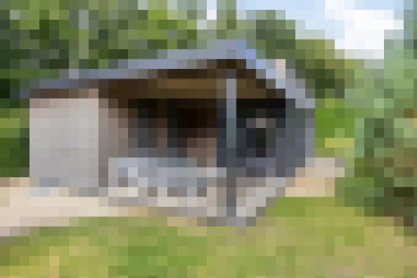 Oude Veensegrindweg 76 9 Rhenen thumbnail 25