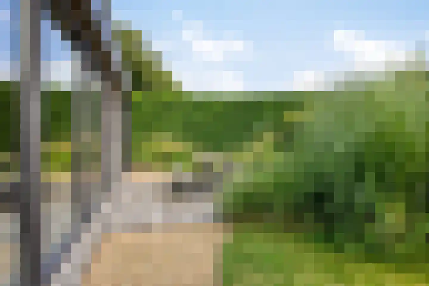 Oude Veensegrindweg 76 9 Rhenen thumbnail 27