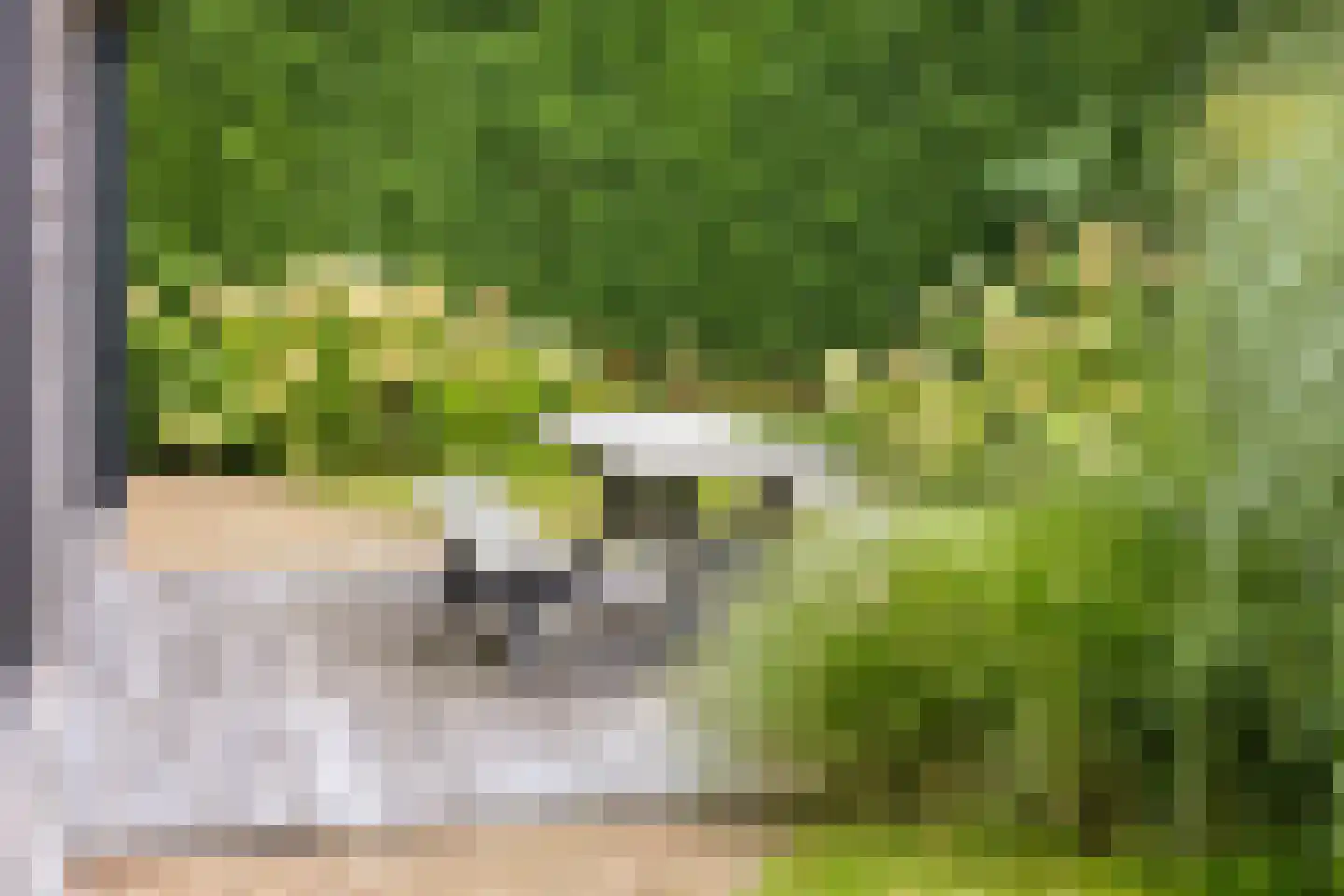 Oude Veensegrindweg 76 9 Rhenen thumbnail 28