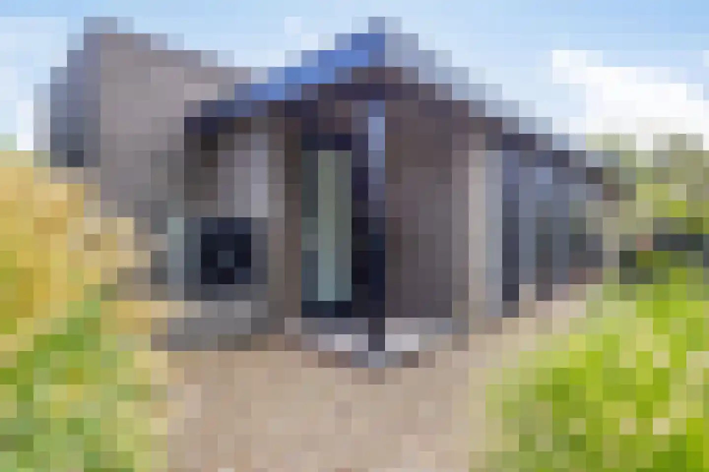 Oude Veensegrindweg 76 9 Rhenen thumbnail 30