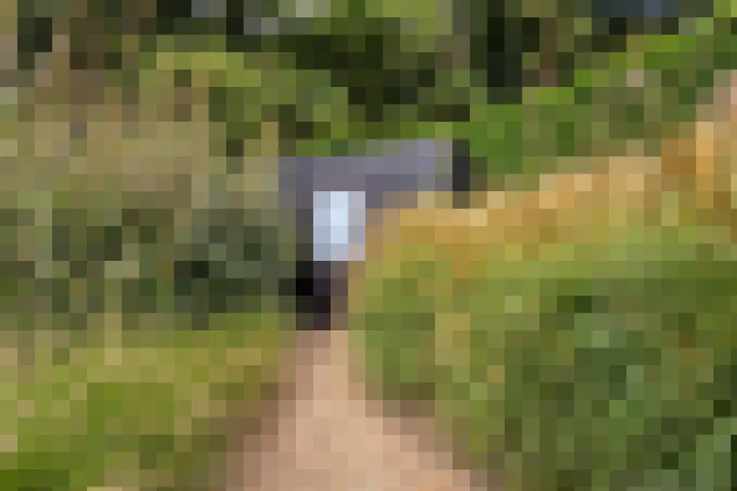 Oude Veensegrindweg 76 9 Rhenen thumbnail 31