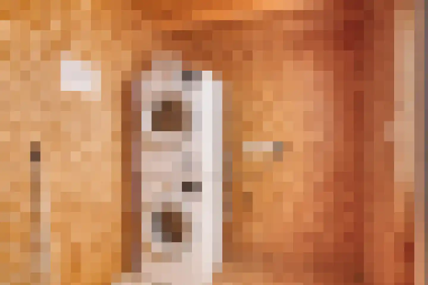 Oude Veensegrindweg 76 9 Rhenen thumbnail 32