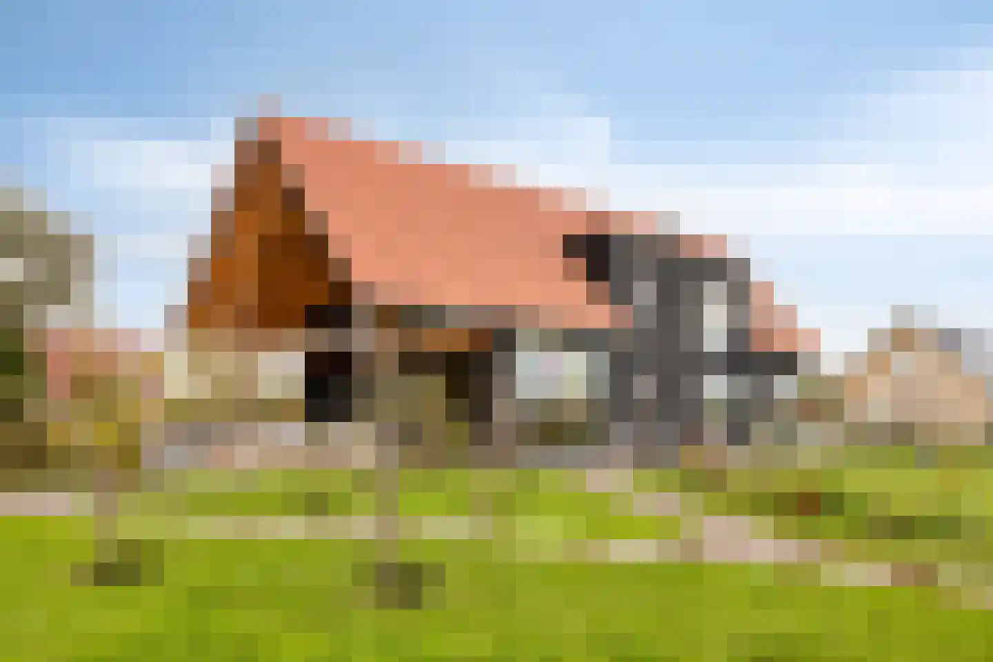 Oude Veerseweg 126 Middelburg thumbnail 53