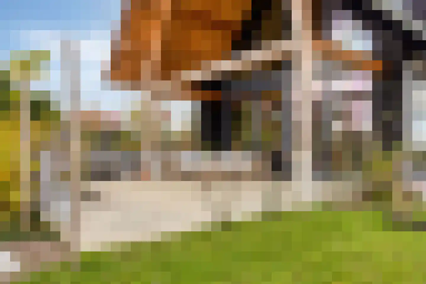 Oude Veerseweg 126 Middelburg thumbnail 6