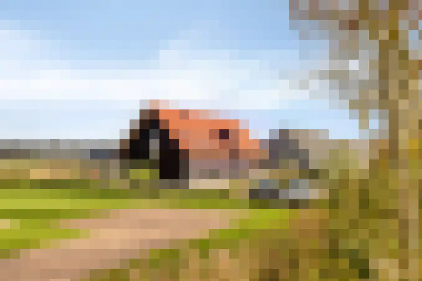 Oude Veerseweg 126 Middelburg thumbnail 64