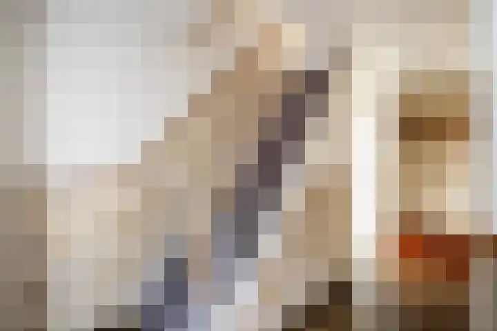 Oude Veerweg 12 Zwolle thumbnail 10