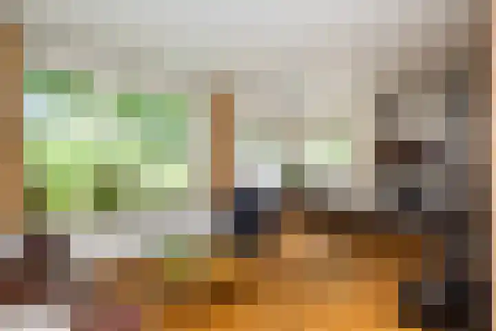 Oude Veerweg 12 Zwolle thumbnail 11