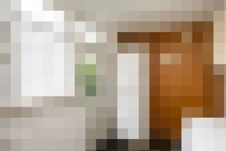 Oude Veerweg 12 Zwolle thumbnail 16