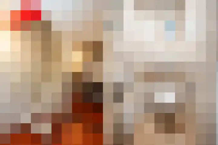 Oude Veerweg 12 Zwolle thumbnail 17